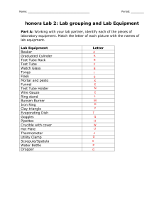 Honors Lab 2: Lab Equipment Worksheet