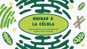 Unidad 3: La C&eacute;lula - Biolog&iacute;a
