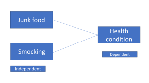 Lifestyle Behaviours & Health Outcomes: Junk Food & Smoking Impact