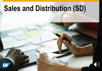 SAP SD Module: Sales and Distribution Overview