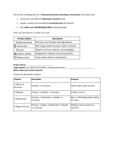 Vietnamese Business Marketing Assignment: Product Launch Plan