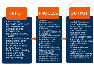 CSS Training Evaluation: Input, Process, Output Framework