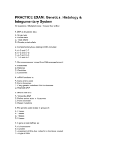 Genetics Histology Integumentary System Practice Exam