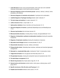 Biochemistry Study Guide: Macromolecules & Enzymes