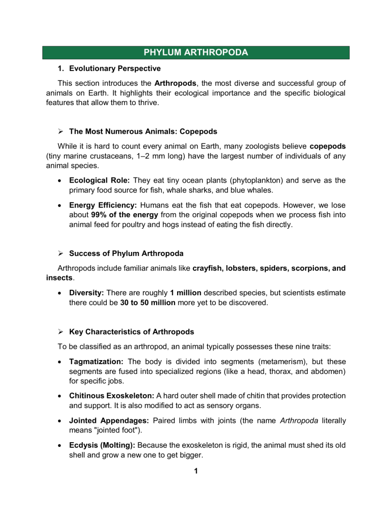 Phylum Arthropoda: Biology and Characteristics