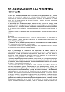 De Sensaciones a Percepci&oacute;n: Psicolog&iacute;a Sensorial