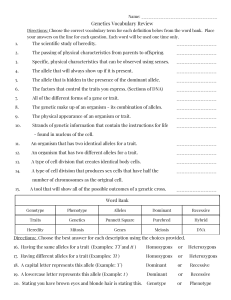 Genetics Vocabulary Review Worksheet
