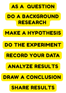 Scientific Method Steps: Guide to Research