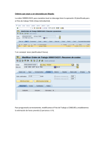 Gu&iacute;a de Gesti&oacute;n de &Oacute;rdenes de Trabajo en SAP