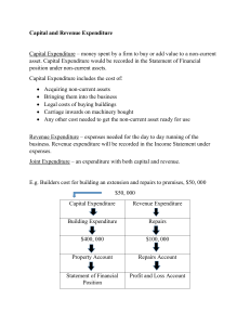 Capital and Revenue Expenditure: Accounting Basics