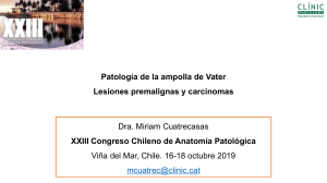 Patolog&iacute;a de la ampolla de Vater: Lesiones premalignas y carcinomas