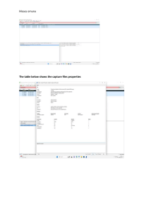 Capture Files Properties Analysis