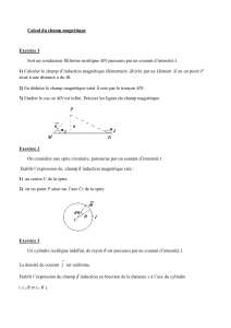 Exercices de Calcul du Champ Magn&eacute;tique