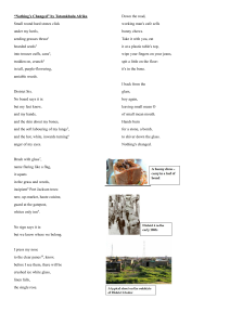 Nothing's Changed Poem Analysis by Tatamkhulu Afrika