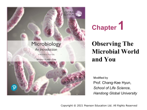 Chapter 1: Observing The Microbial World and You