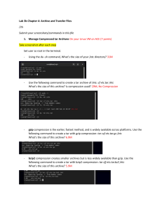 Lab 3b: Archive and Transfer Files