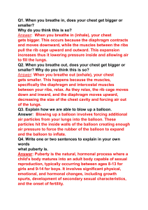 Human Biology Quiz: Breathing, Puberty, Reproductive System