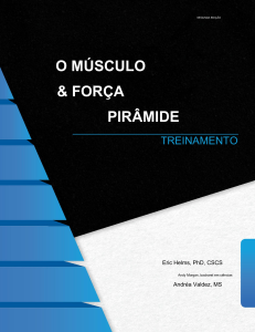Pir&acirc;mide de M&uacute;sculo e For&ccedil;a: Treinamento