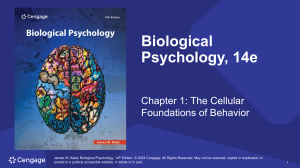 Biological Psychology 14e Chapter 1: Cellular Foundations