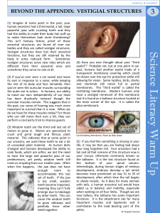 Vestigial Structures in Humans: Anatomy & Evolution