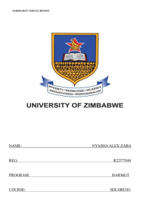 Community Service Report: Zimbabwe Cricket Experience