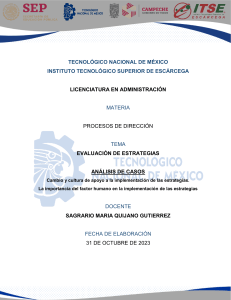 An&aacute;lisis de casos: evaluaci&oacute;n de estrategias y factor humano