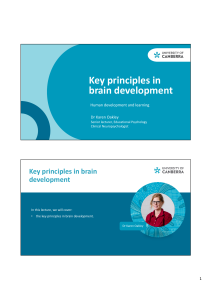 Key Principles in Brain Development