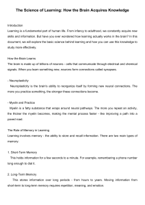 The Science of Learning: How the Brain Acquires Knowledge
