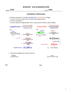 IB Biology Cells & Magnification Calculations Worksheet