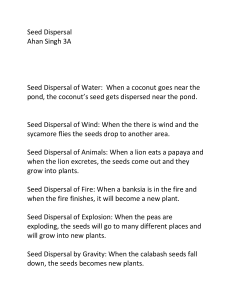 Seed Dispersal Methods: Water, Wind, Animals, Fire, Explosion, Gravity