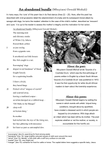An Abandoned Bundle Poem Analysis by Mbuyiseni Mtshali