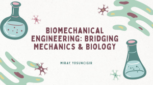 Biomechanical Engineering: Bridging Mechanics & Biology