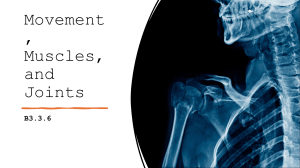 Movement, Muscles, and Joints - B3.3.6