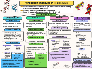 Principales Biomol&eacute;culas en Seres Vivos: Carbohidratos, Prote&iacute;nas, L&iacute;pidos, &Aacute;cidos Nucleicos