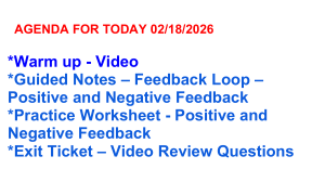 Feedback Loops Lesson Plan