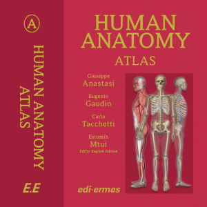 Human Anatomy Atlas Textbook