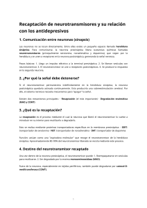 Recaptaci&oacute;n de neurotransmisores y antidepresivos
