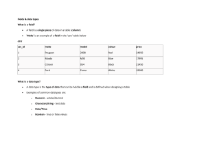 Database Fields and Data Types Guide