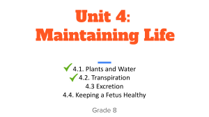 Grade 8 Unit 4: Maintaining Life - Plants & Transpiration
