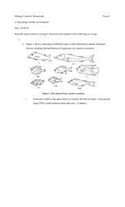 Biology Carnival Homework: Marine Ecosystems