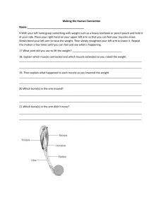 Muscle Movement Worksheet: Biceps & Triceps