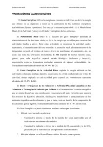 Gu&iacute;a Pr&aacute;ctica de Valoraci&oacute;n del Gasto Energ&eacute;tico