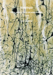 Histologia: Texto, Atlas e Roteiro de Aulas Pr&aacute;ticas