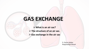 Gas Exchange in Air Sacs (Alveoli)