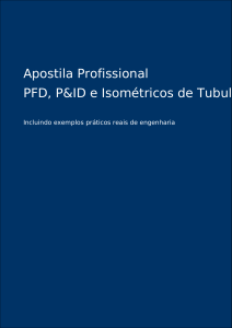 Apostila Profissional PFD, P&ID e Isom&eacute;tricos de Tubula&ccedil;&atilde;o