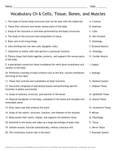 Biology Vocabulary Worksheet: Cells, Tissue, Bones, Muscles