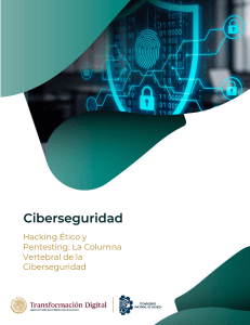 Hacking &Eacute;tico y Pentesting: Columna Vertebral de la Ciberseguridad