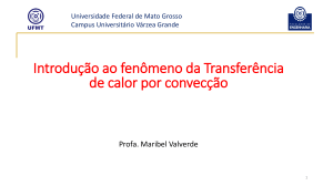 Introdu&ccedil;&atilde;o &agrave; Transfer&ecirc;ncia de Calor por Convec&ccedil;&atilde;o