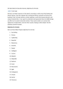 20+ Best Adjectives for Animals (Descriptive Words)