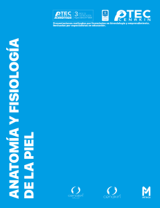 Anatom&iacute;a y Fisiolog&iacute;a de la Piel